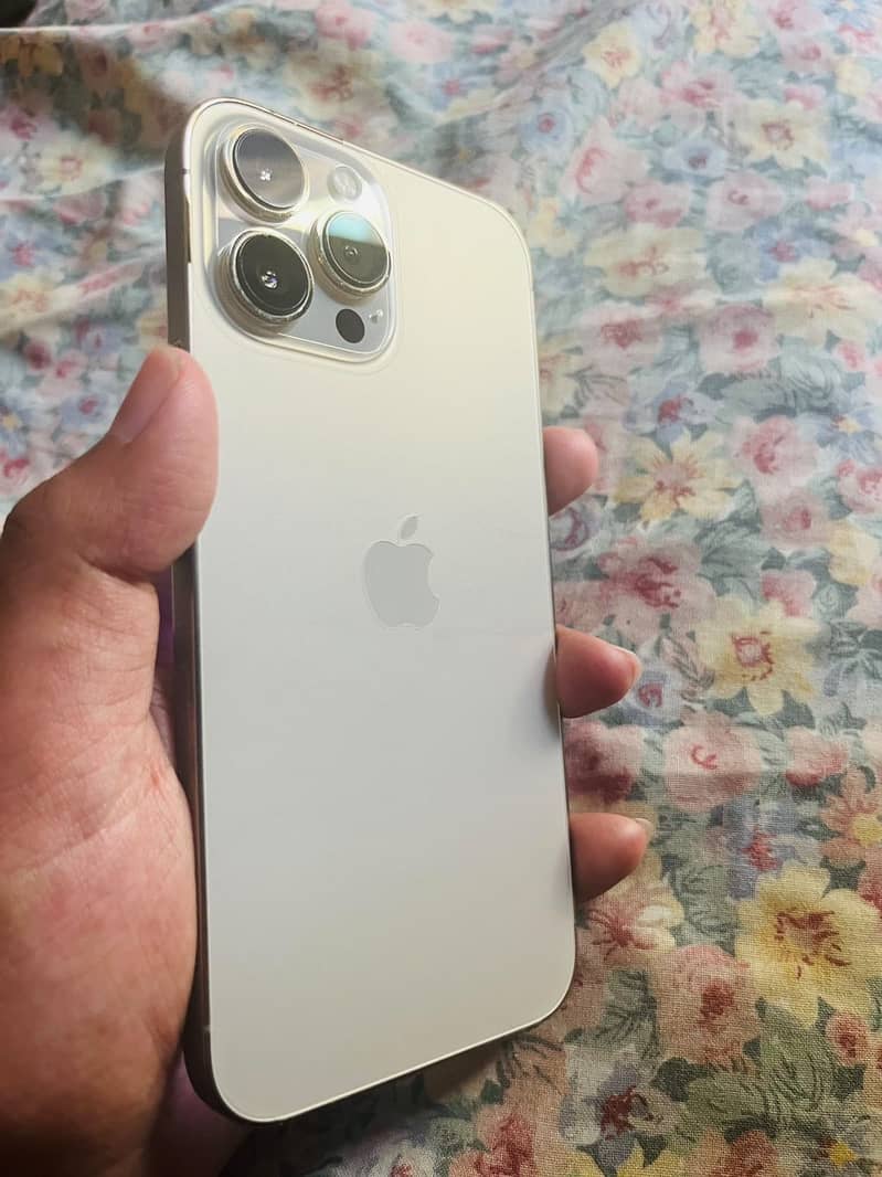 Apple iPhone 13 Pro Max 2