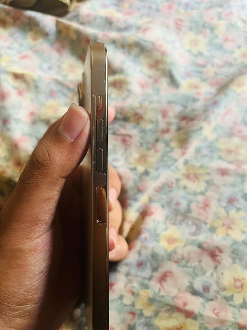 Apple iPhone 13 Pro Max 3