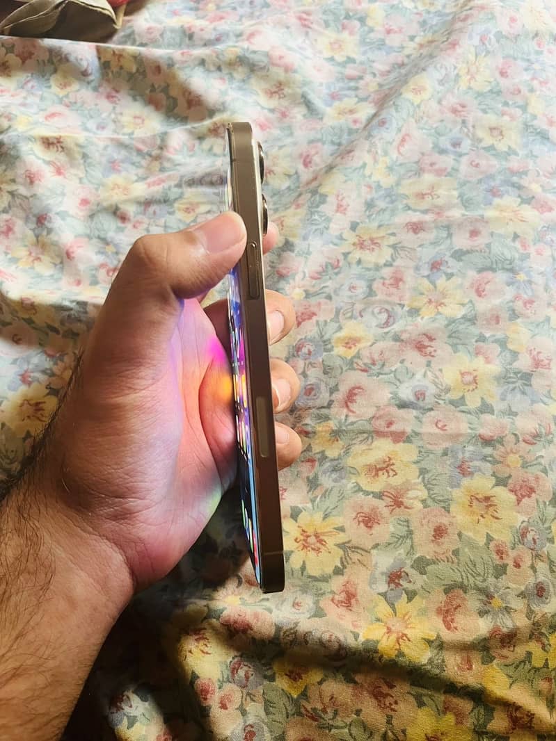 Apple iPhone 13 Pro Max 4