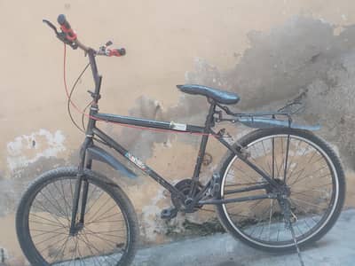 willing cycle with gaer