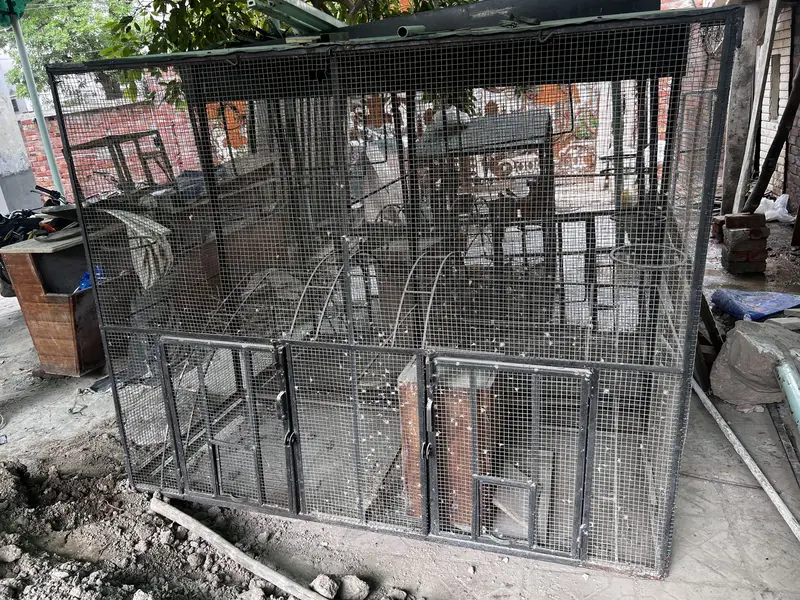 Cages — photo 2