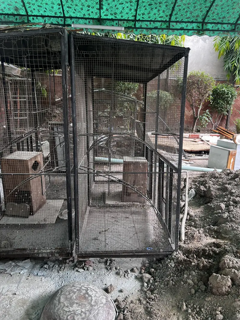 Cages — photo 3