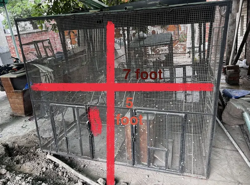 Cages — photo 4