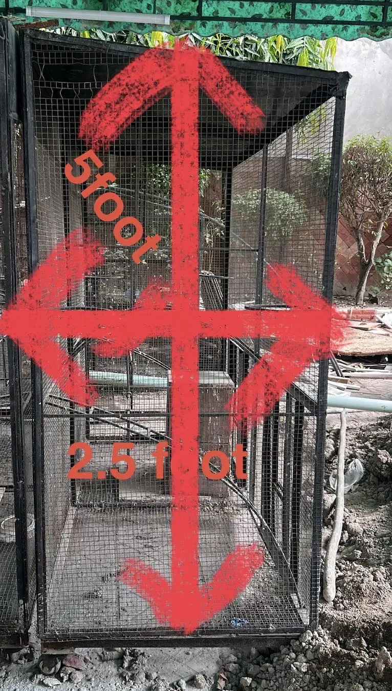 Cages — photo 5