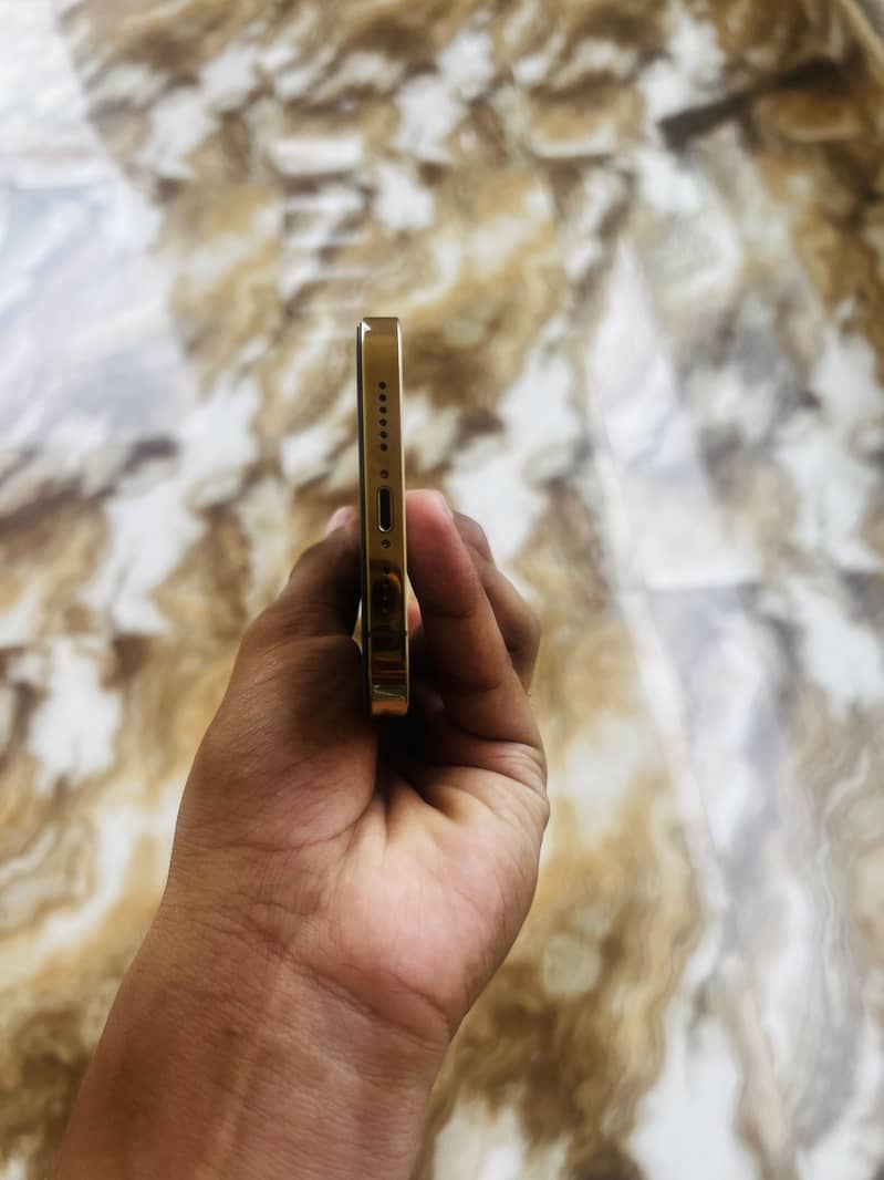 Apple iPhone 12 Pro Max 4