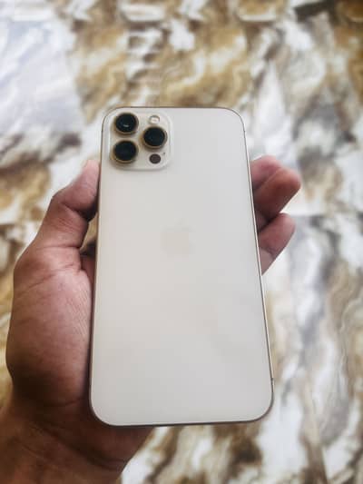 Apple iPhone 12 Pro Max