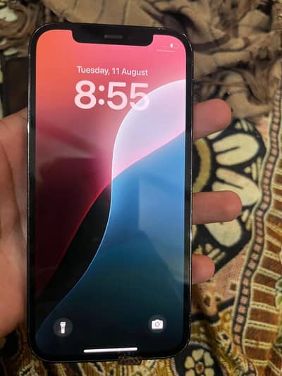Apple iPhone 12 Pro