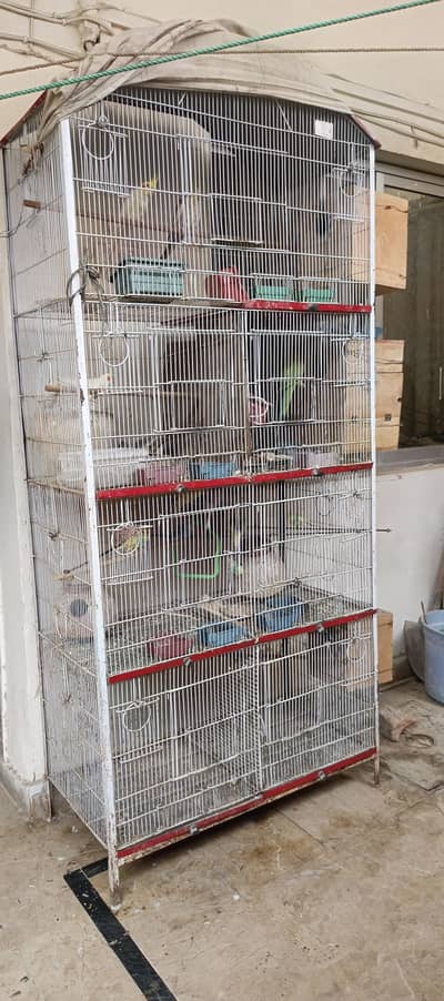 Birds Cage - Pinjirah