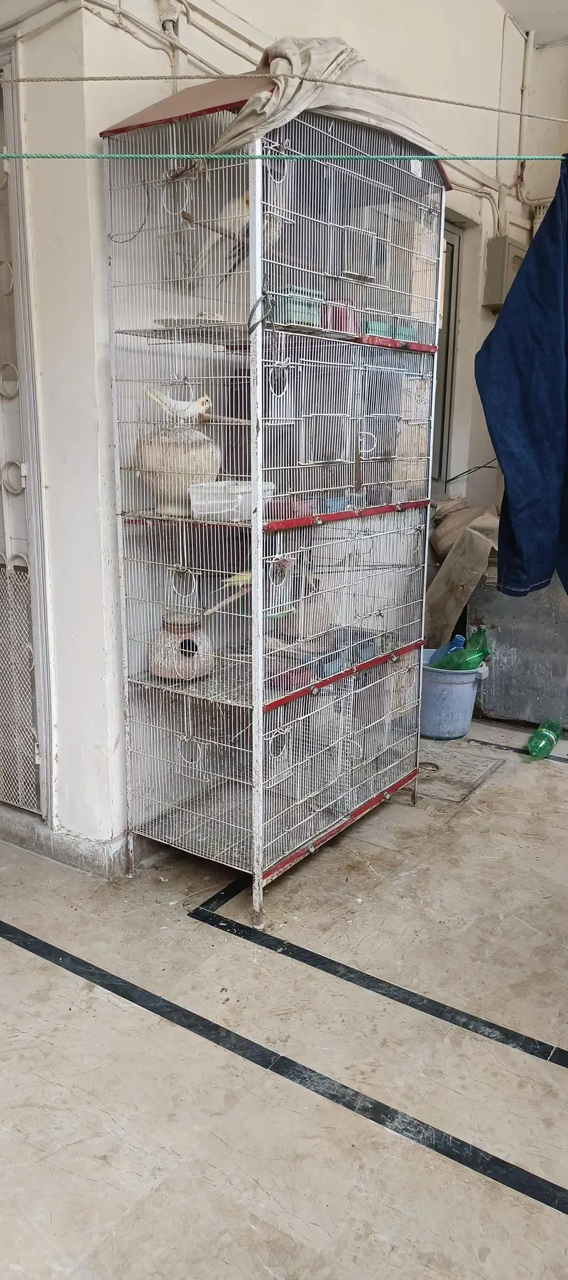 Birds Cage - Pinjirah — photo 3