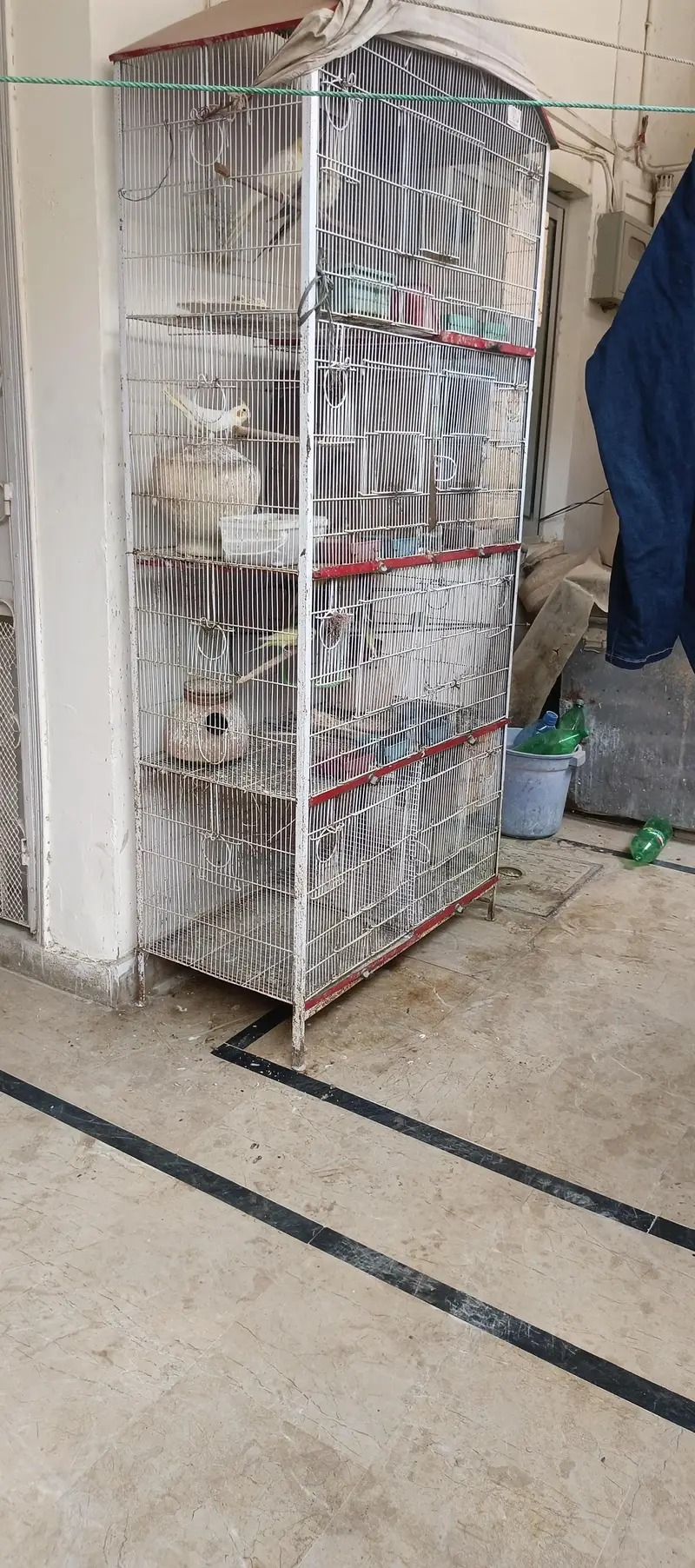 Birds Cage - Pinjirah — photo 4