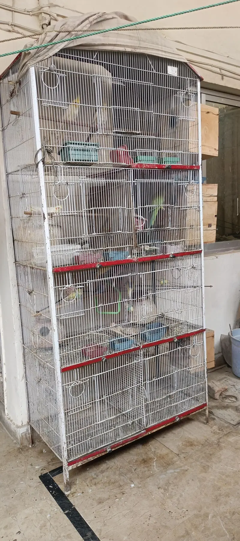 Birds Cage - Pinjirah — photo 7