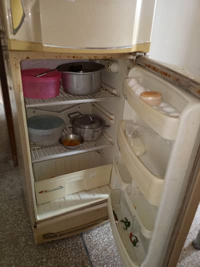 Freezer Available