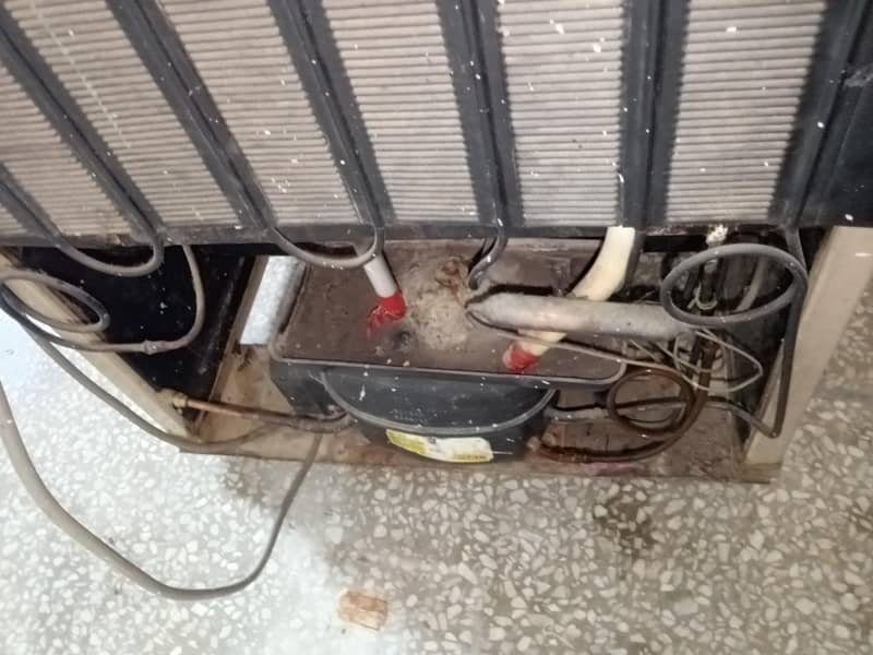 Freezer Available 1