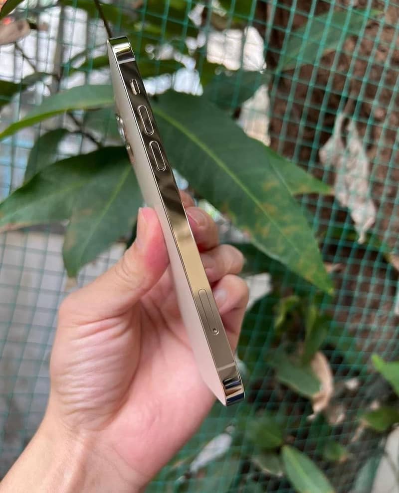 Apple iPhone 12 Pro 5
