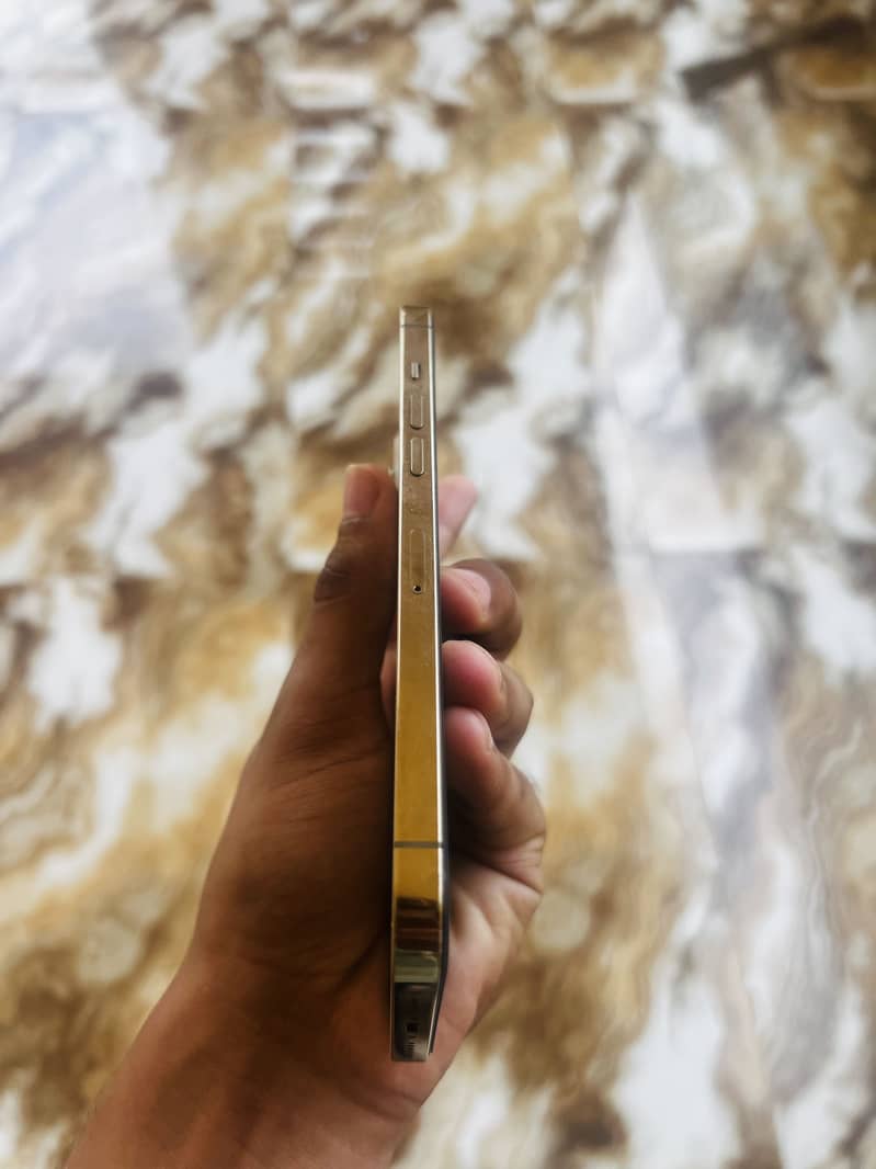 Apple iPhone 12 Pro Max 1