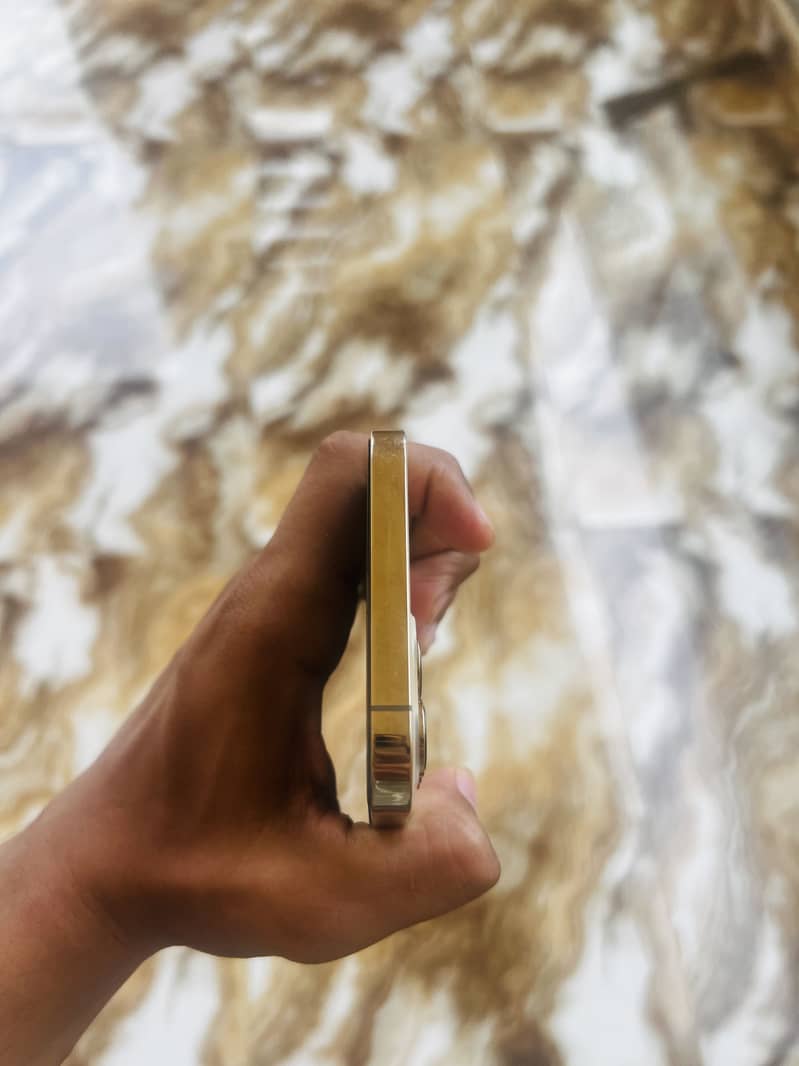 Apple iPhone 12 Pro Max 2