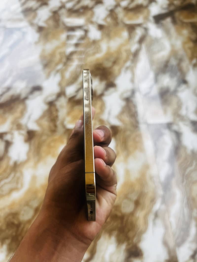 Apple iPhone 12 Pro Max 4