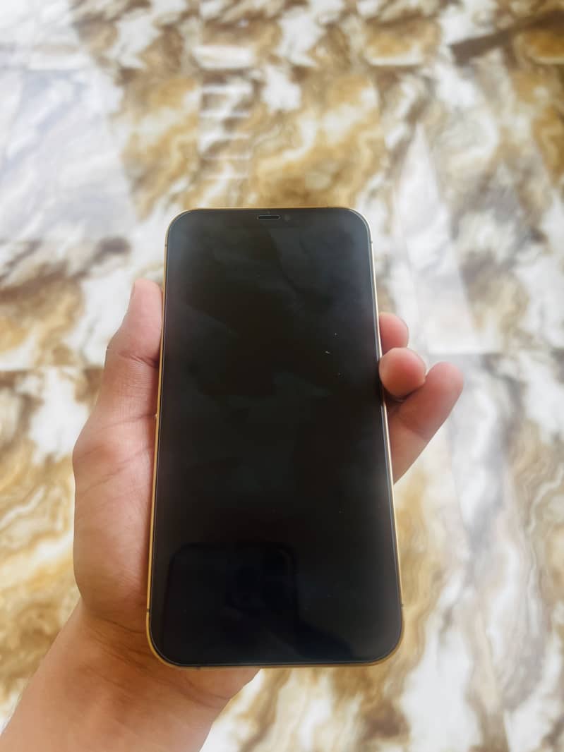 Apple iPhone 12 Pro Max 5