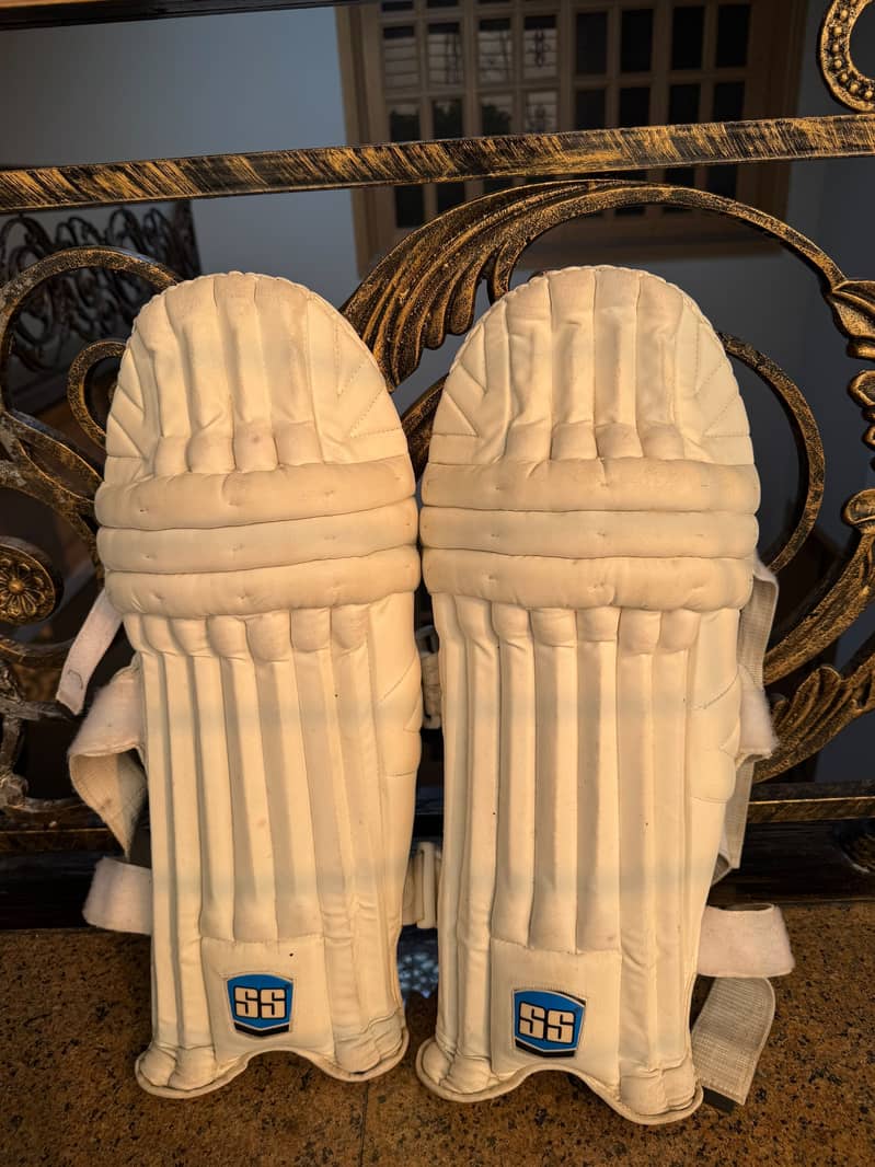 Cricket kit 4