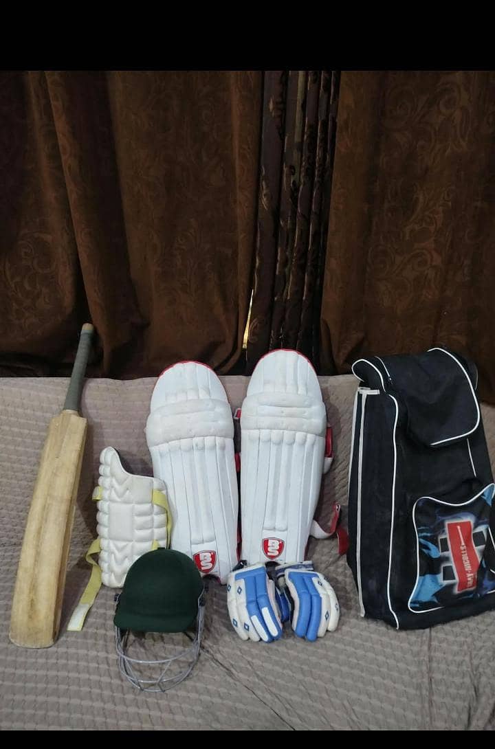 cricket kitt 2