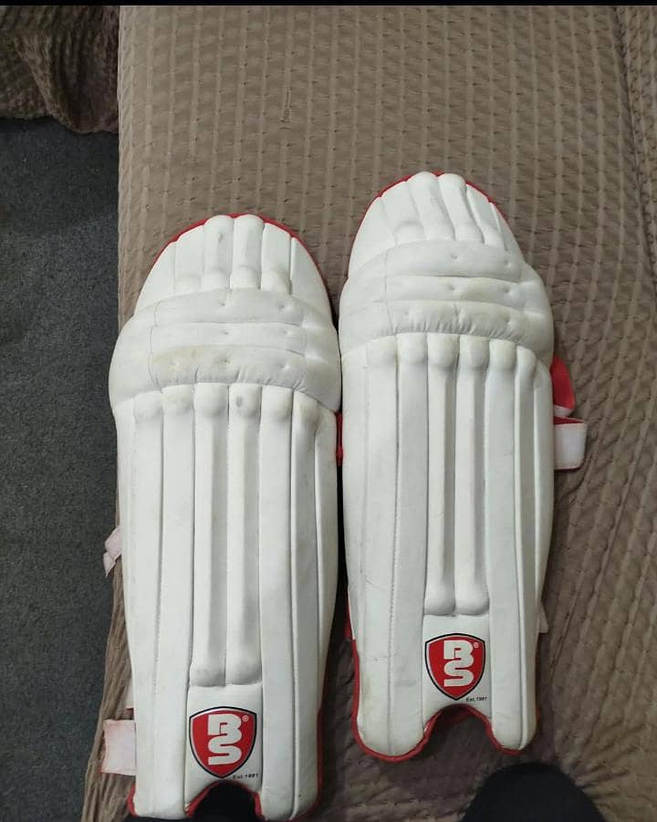 cricket kitt 5