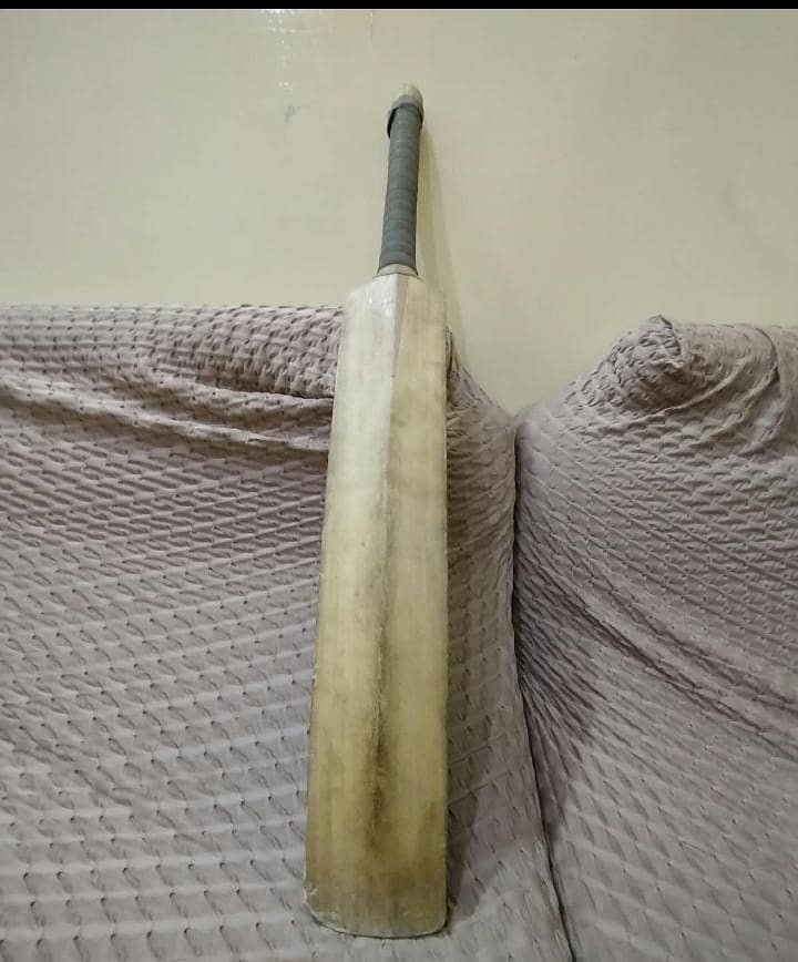 cricket kitt 6