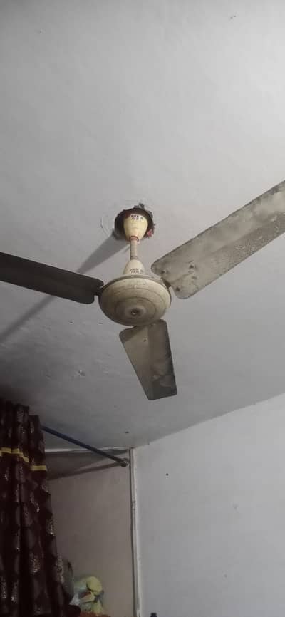 PAK Copper Fan