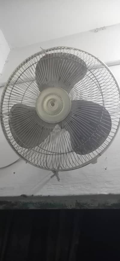 Fan Fan