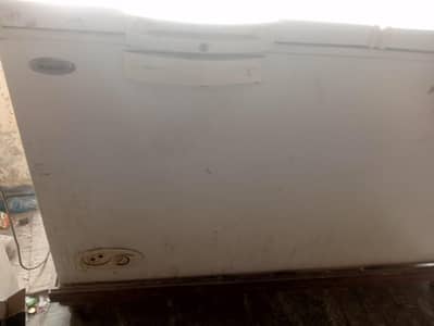 D Freezer 2 Door