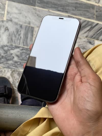 Apple iPhone 12 Pro 256gb (factory unlock)