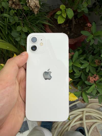 Apple iPhone 12