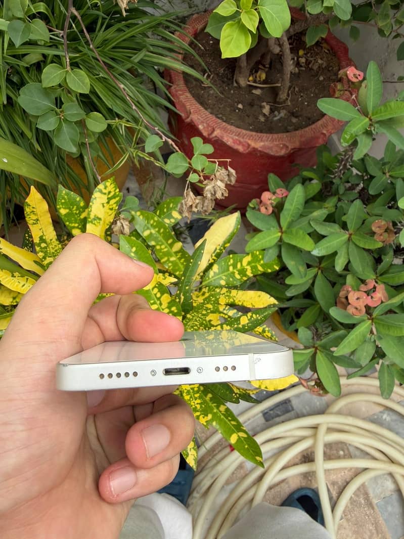 Apple iPhone 12 1