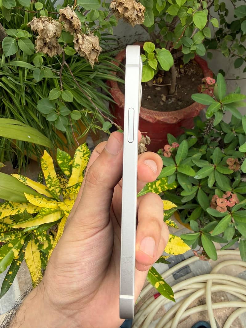 Apple iPhone 12 3