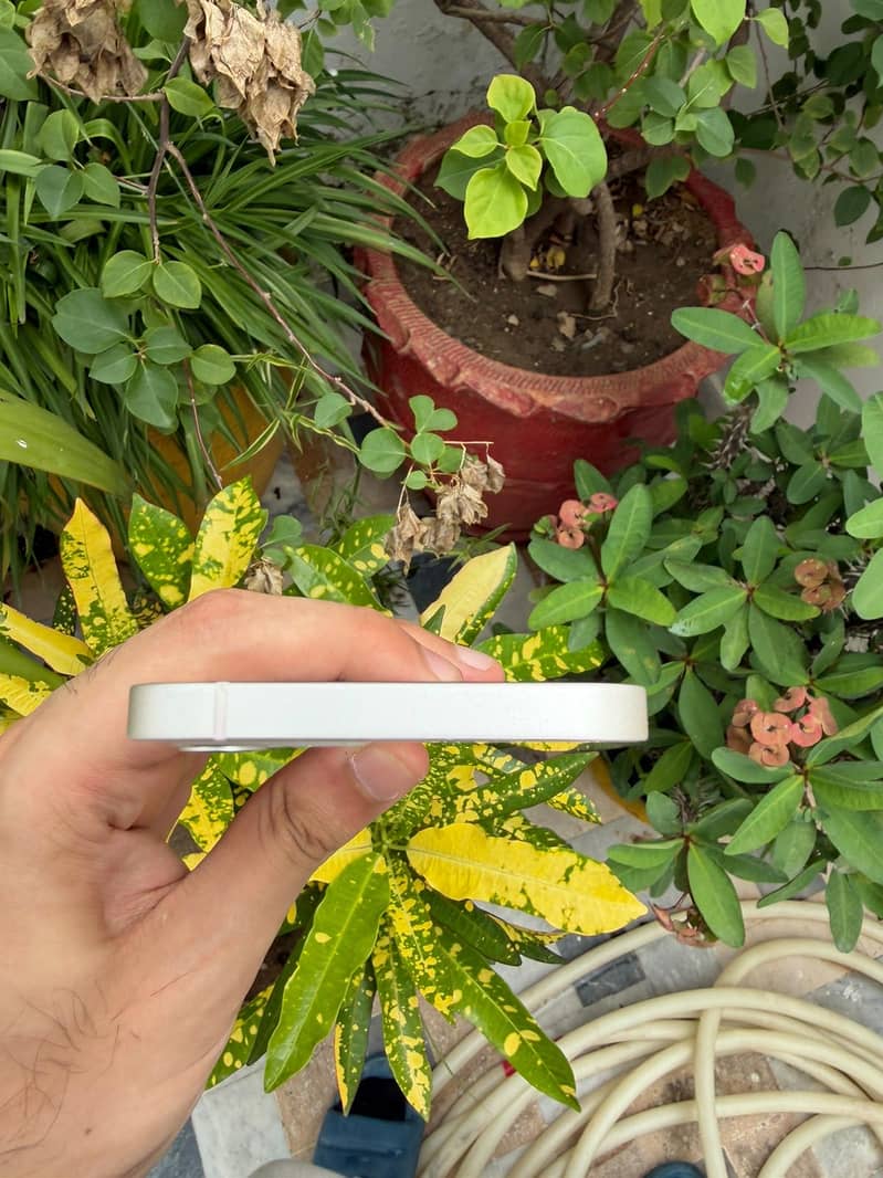 Apple iPhone 12 4