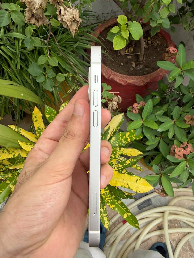 Apple iPhone 12 5