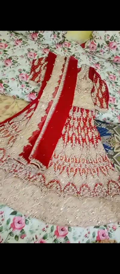 sahdi lihnga for sell
