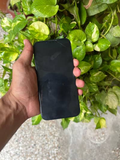 Apple iPhone 13 Non Pta