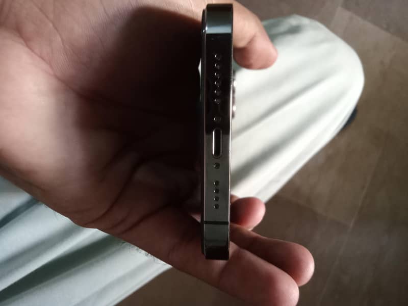 Apple iPhone 13 Pro Max 3