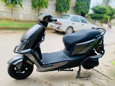 Revoo C32 young