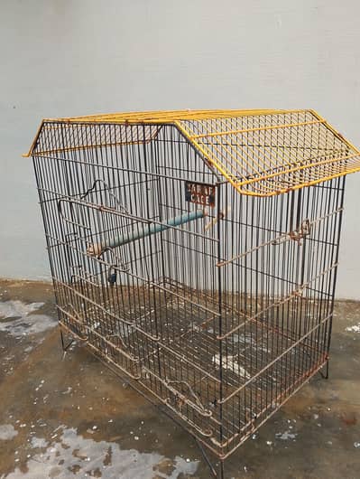 parrot cage