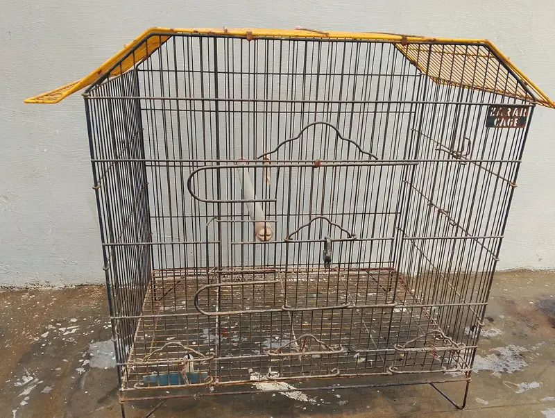 parrot cage — photo 2