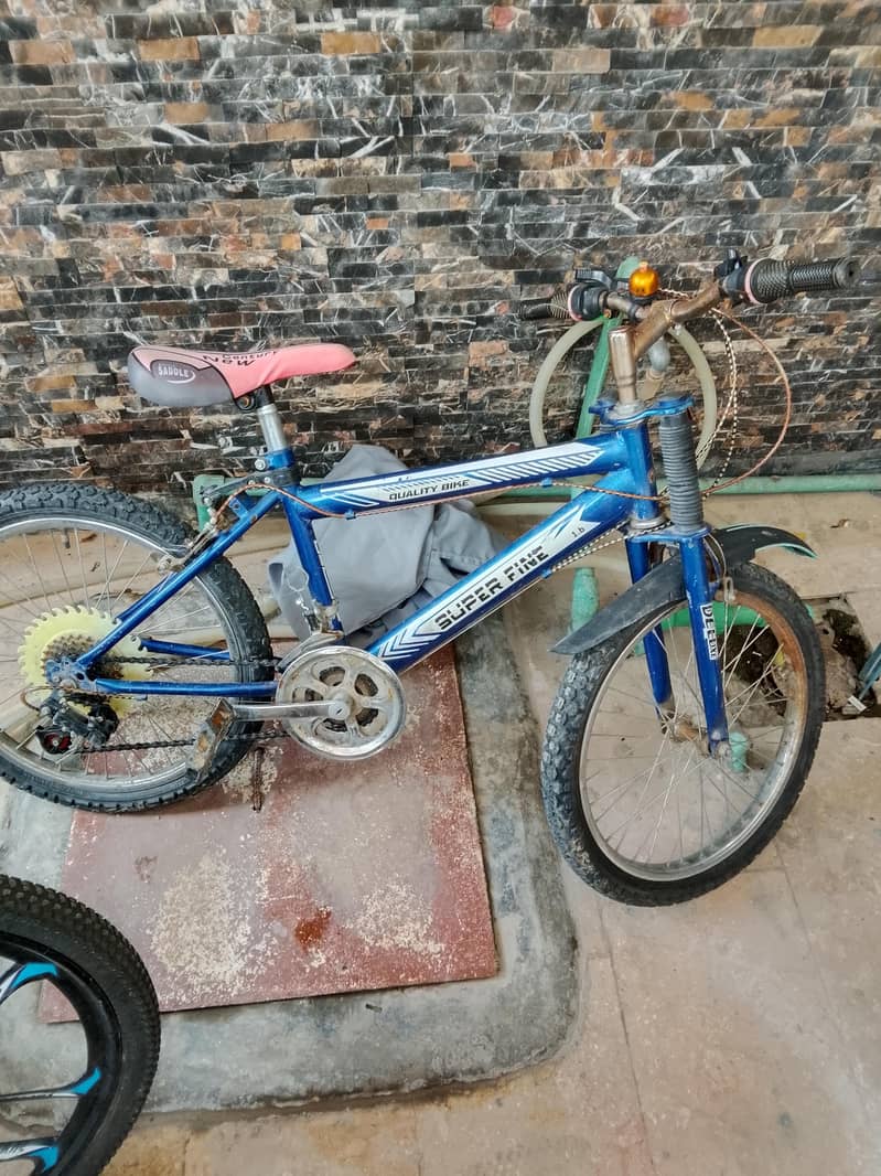 bicycle 1