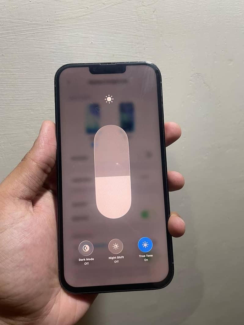Apple iPhone 13 Pro Max 1