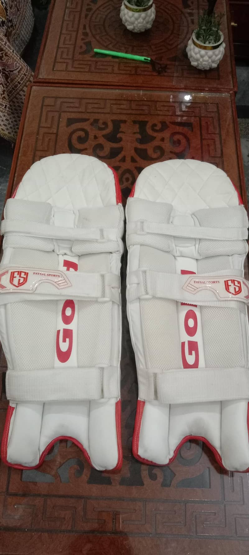 cricket kit 10