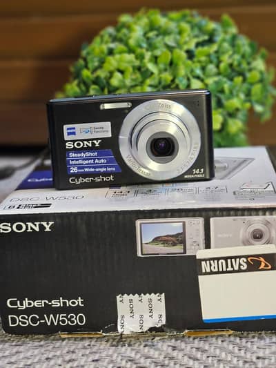 Sony Cyber-shot DSC-W530 Digital Camera | Original Box and charger