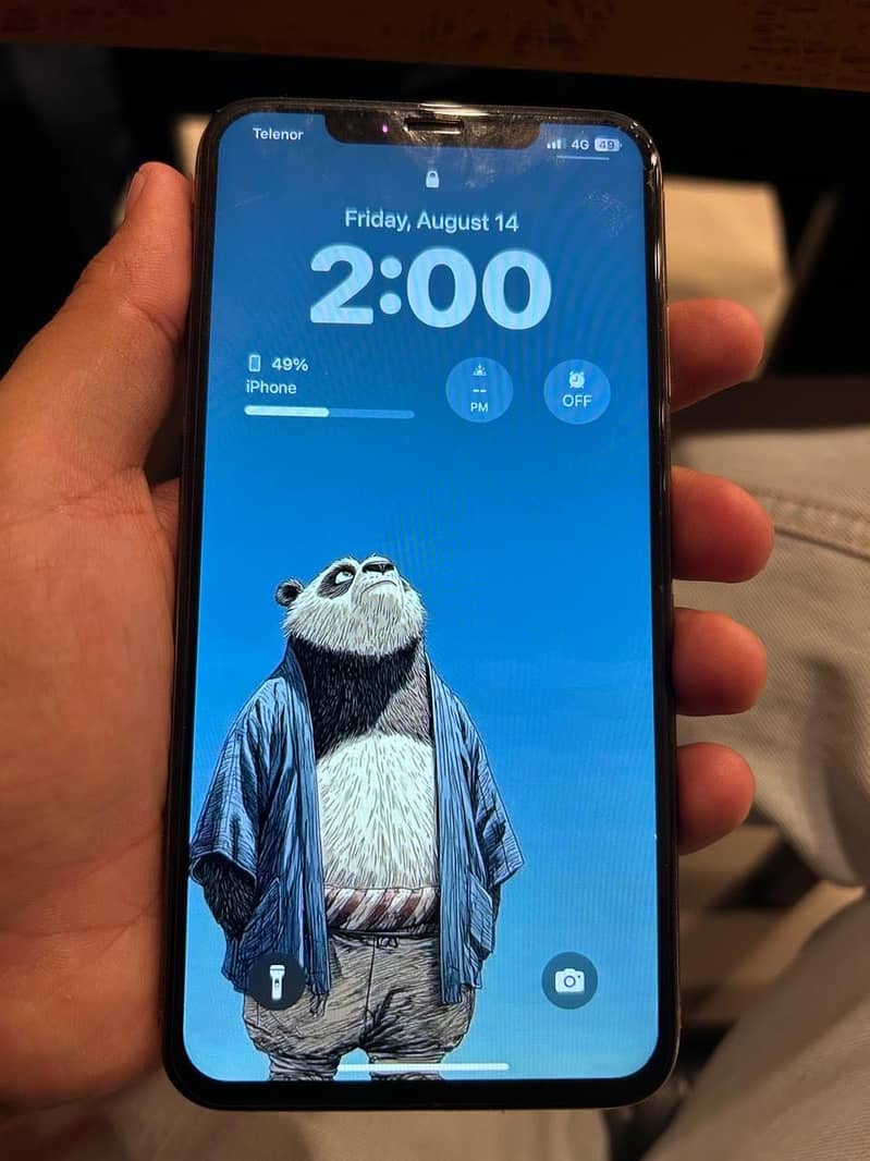Apple iPhone XS Max 4