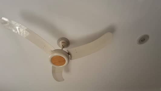 4-SETS CEILING FAN ROAYL BRAND AVAILABE FOR SALE