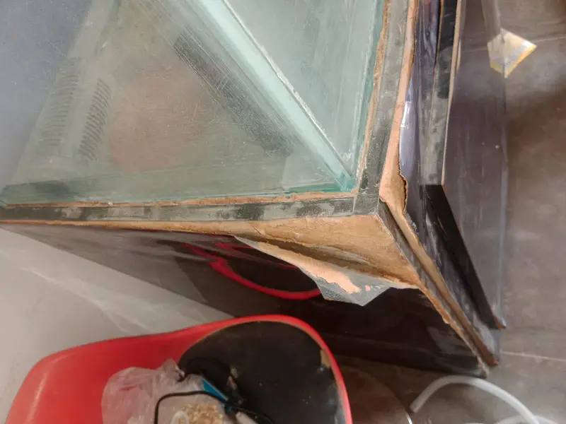 Fish aquarium with accessories for sale (used) — photo 5