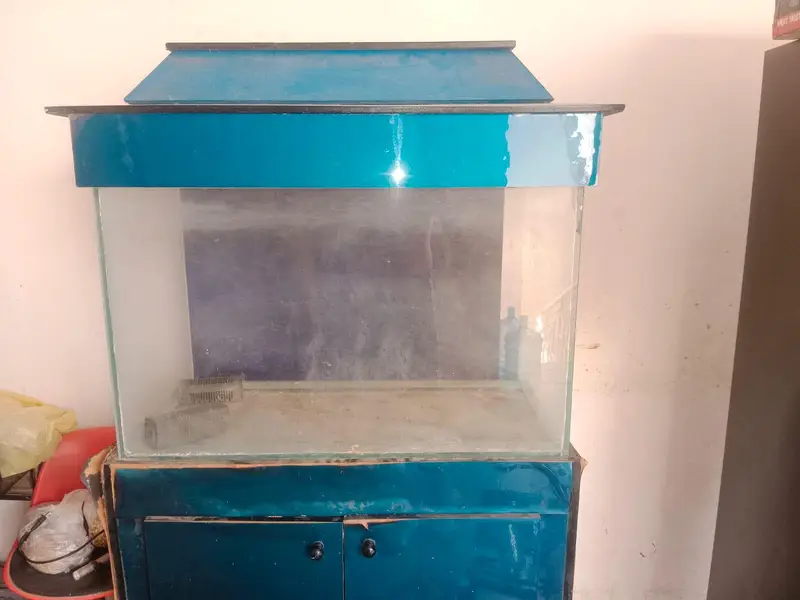 Fish aquarium with accessories for sale (used) — photo 8