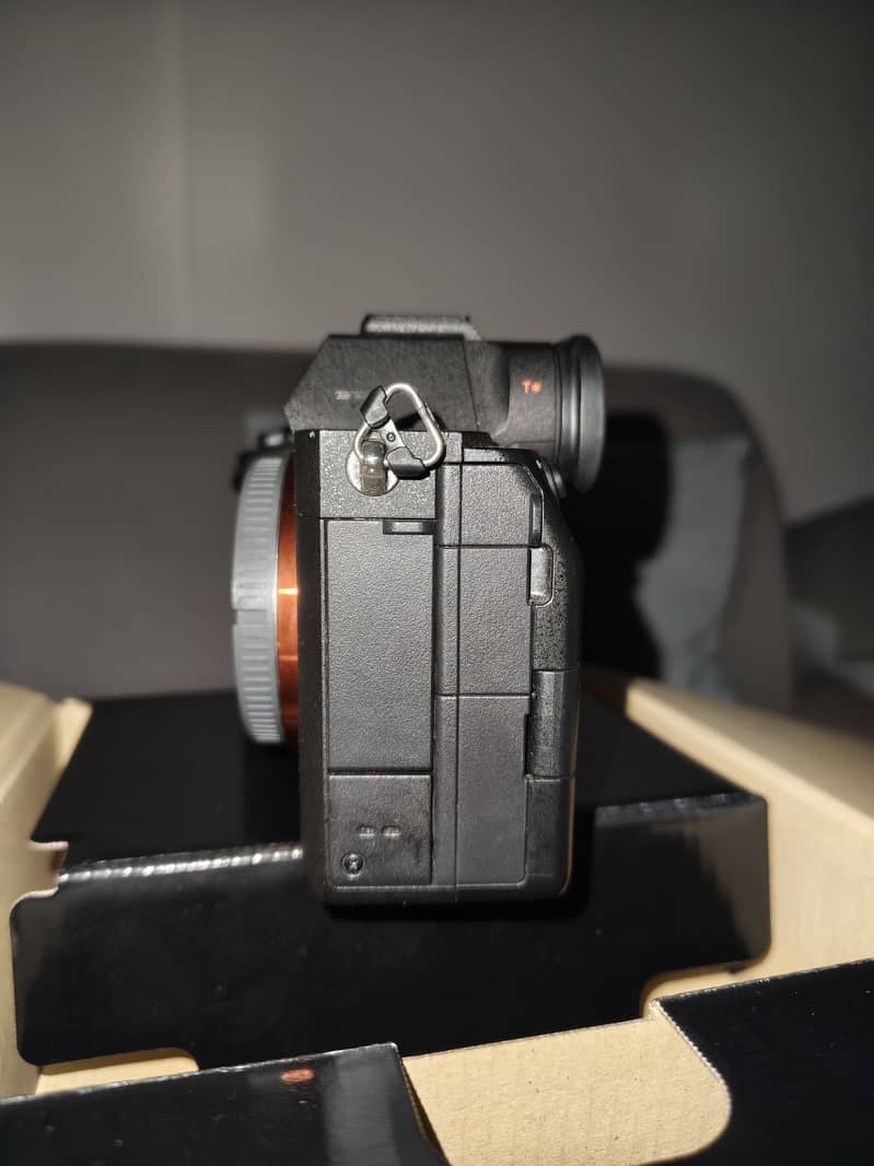 Sony a7iv 2